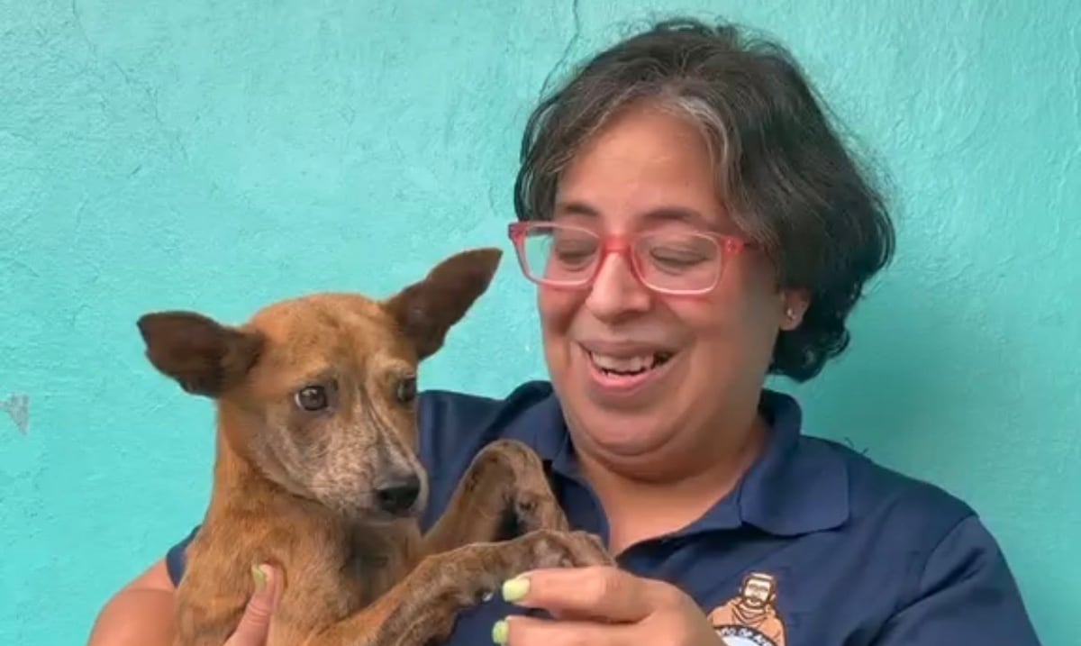 Santuario de Animales en Cabo Rojo enfrenta crisis de sobrepoblación y pide ayuda