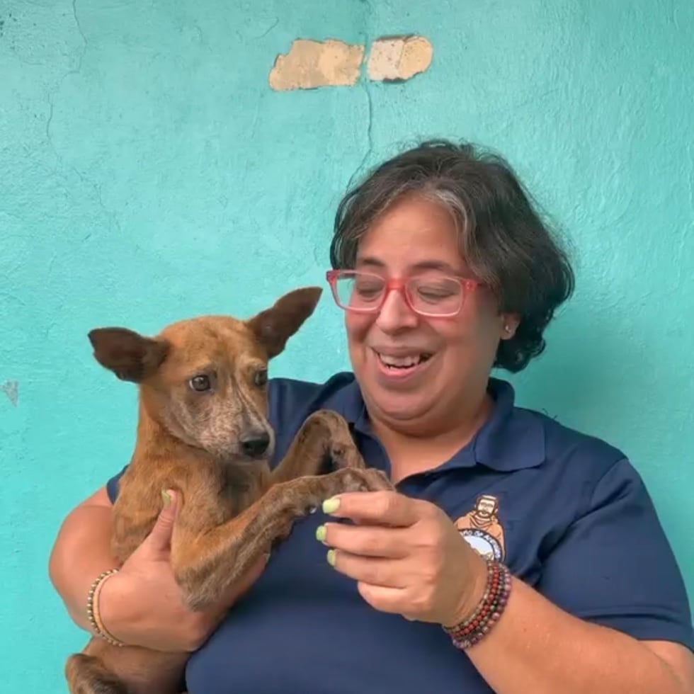 Dellymar Bernal sostiene a una perrita a la que bautizaron ‘Shakira’m que todavía tiene mucho miedo porque la tiraron de un carro en movimiento, por lo que se les está dando dosis extra de amor para ayudarla a que sane. Esta necesita interactar con múltiples personas.