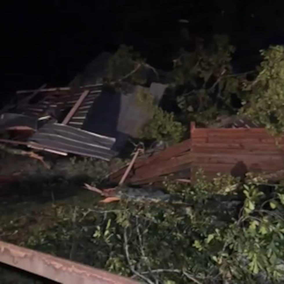 En esta captura de video tomada por WDAM, árboles dañados y una casa o estructura después de una tormenta que azotó parte del condado de Lamar, Mississippi.