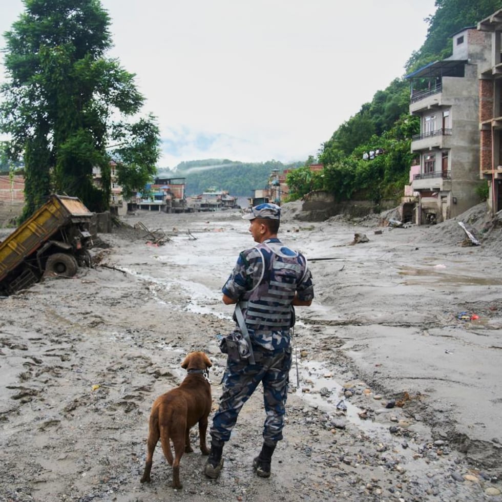 Un policía, junto a un perro, mientras asiste en las labores de rescate en Nepal.