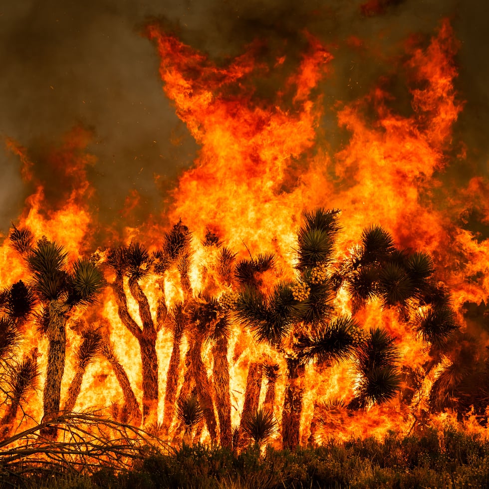 Un incendio forestal provocó órdenes de evacuación en una zona poco poblada del condado de Los Ángeles.