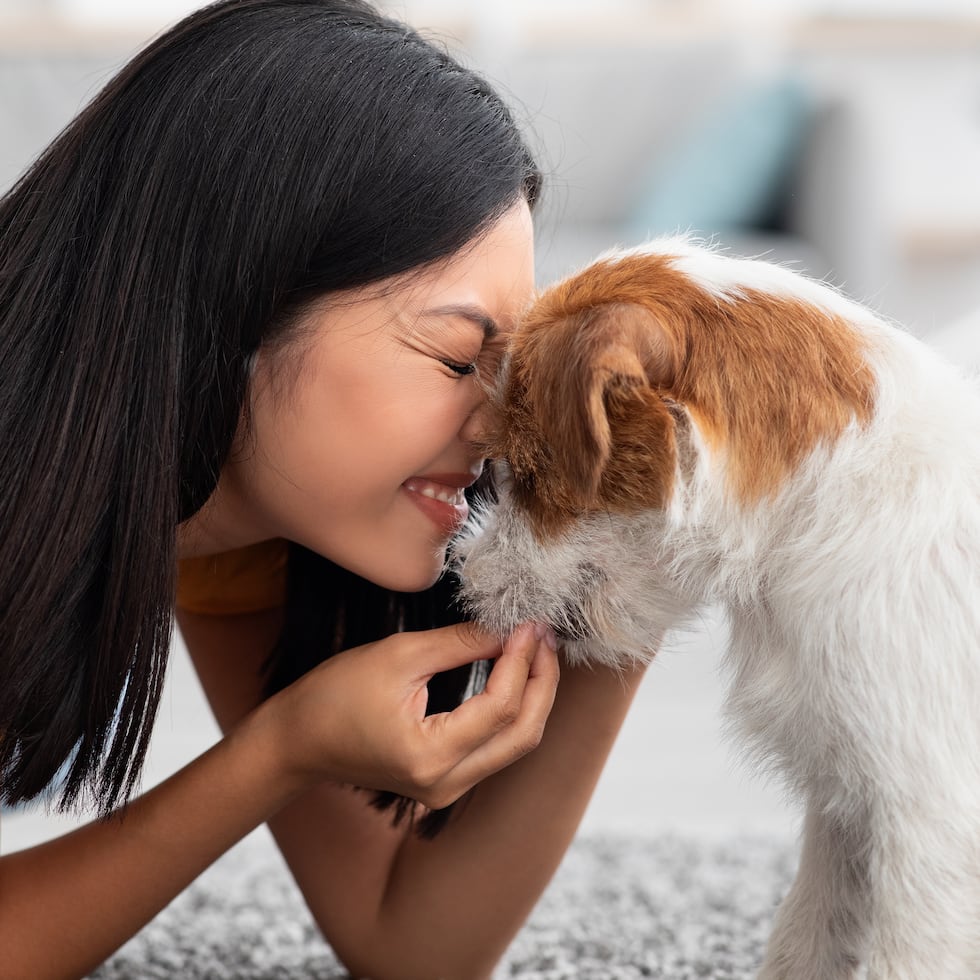 ¿Qué significa hablarle a las mascotas como si fueran humanos?