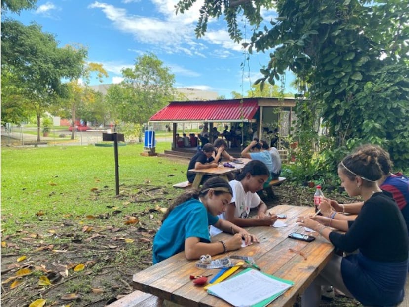 El área "EcoCreando" ofrece mesas para tomar clases al aire libre bajo la sombra de los árboles.