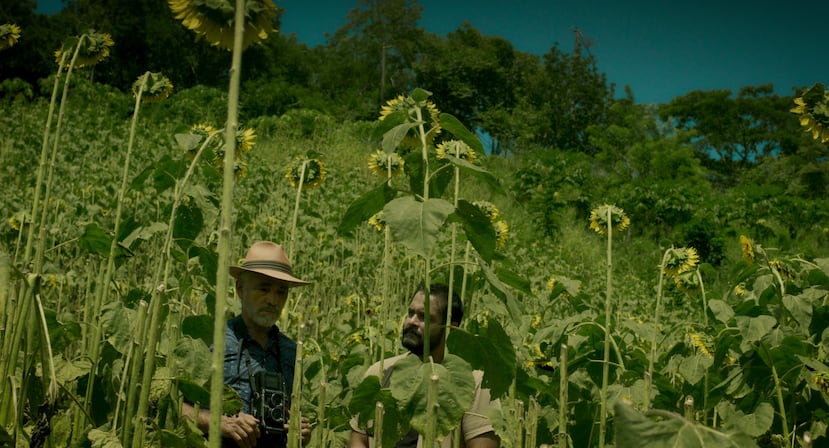 “Caen hojas blancas” nace del interés de contar historias íntimas sobre las complejidades de las relaciones humanas y, al mismo tiempo, presentar en pantalla un Puerto Rico que no siempre tiene representación en el cine.