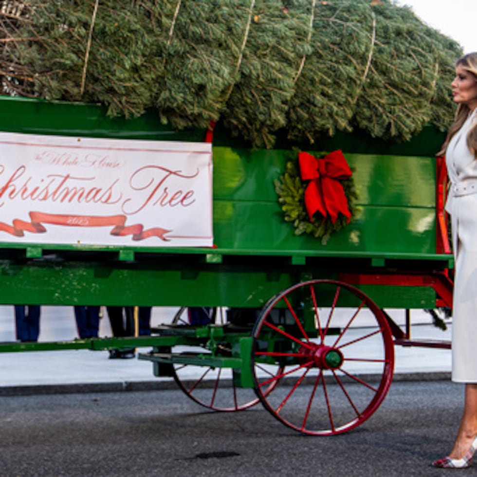 La primera dama Melania Trump recibe el árbol de Navidad oficial de la Casa Blanca de 2025, un abeto blanco de Korson's Tree Farms de Michigan, en el Pórtico Norte de la Casa Blanca, el lunes 24 de noviembre de 2025, en Washington. (AP Photo/Julia Demaree Nikhinson)