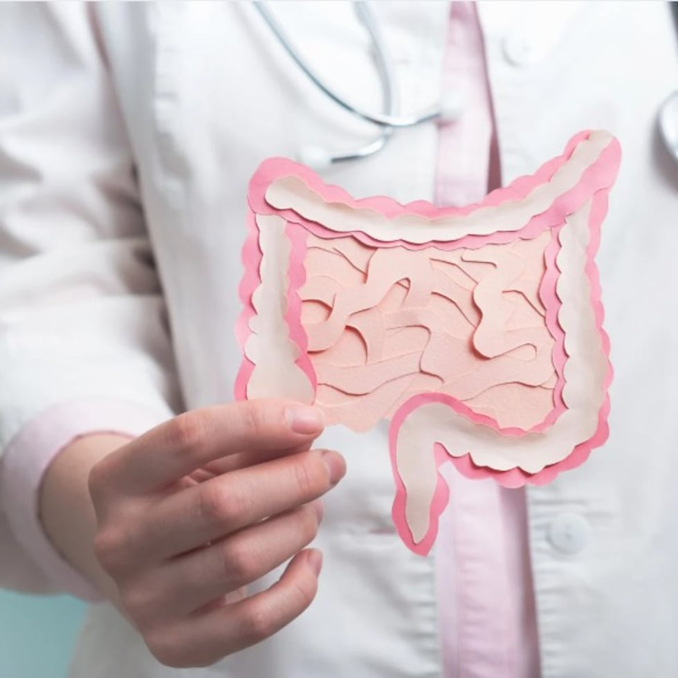 Se vincula un nivel más elevado de proteobacterias en la microbiota intestinal con una peor capacidad de atención en personas con obesidad, mientras que otro compuesto de la microbiota (3-HAA) se relaciona con una mejora de la atención.