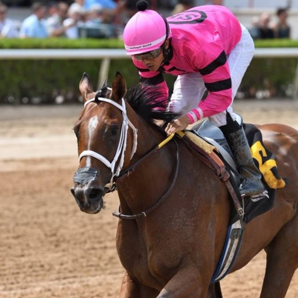 El puertorriqueño Edgar Zayas compite regularmente en circuitos hípicos de Estados Unidos.