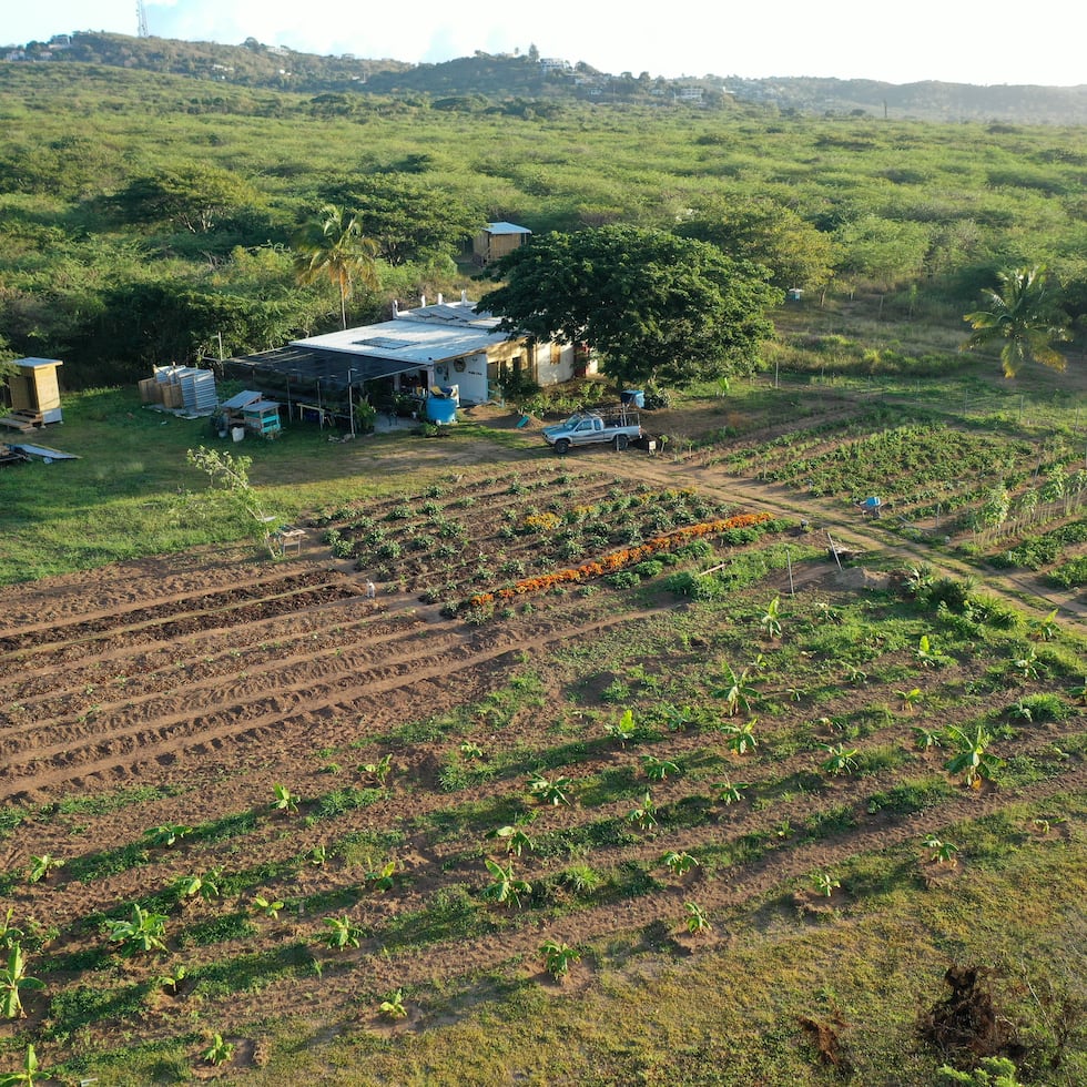 Las historias de Luis Rodríguez, Marla Díaz, Efrén Robles, Angelie Martínez, Anthony Eliso y Loyda Rosa contribuyen a visibilizar la sostenibilidad alimentaria en Puerto Rico.