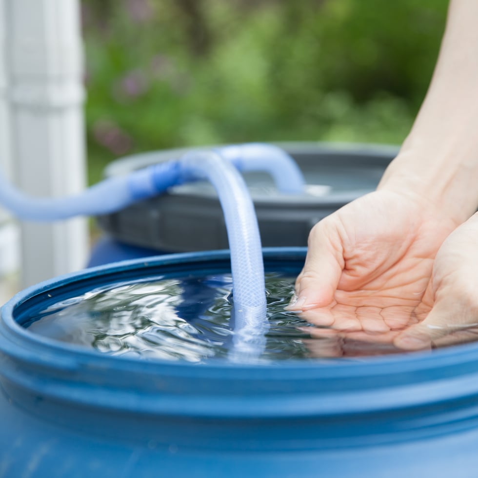 En este día en el que honramos el recurso agua a nivel mundial es meritorio que reconozcamos la complejidad de su gestión al momento de manejarlo, señala Brenda Torres.
