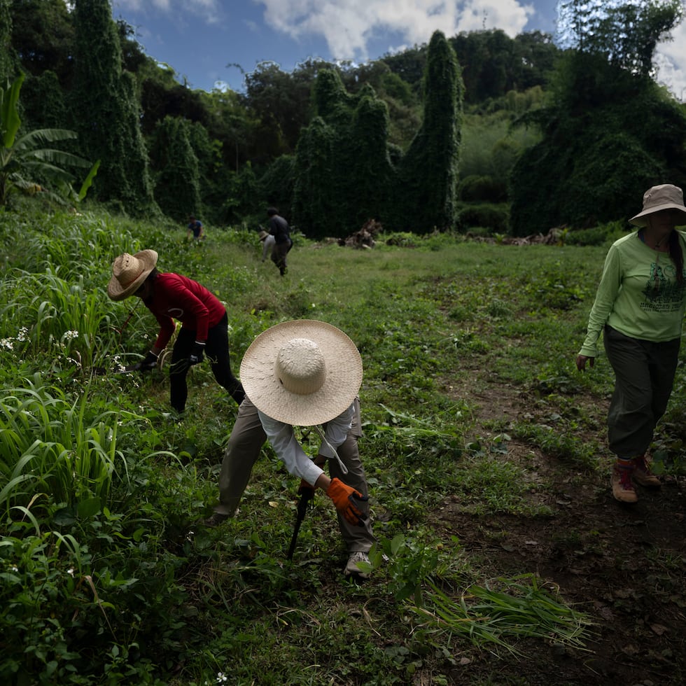 More than 550 people applied to the Agroecological Producers and Promoters Course offered by El Josco Bravo.