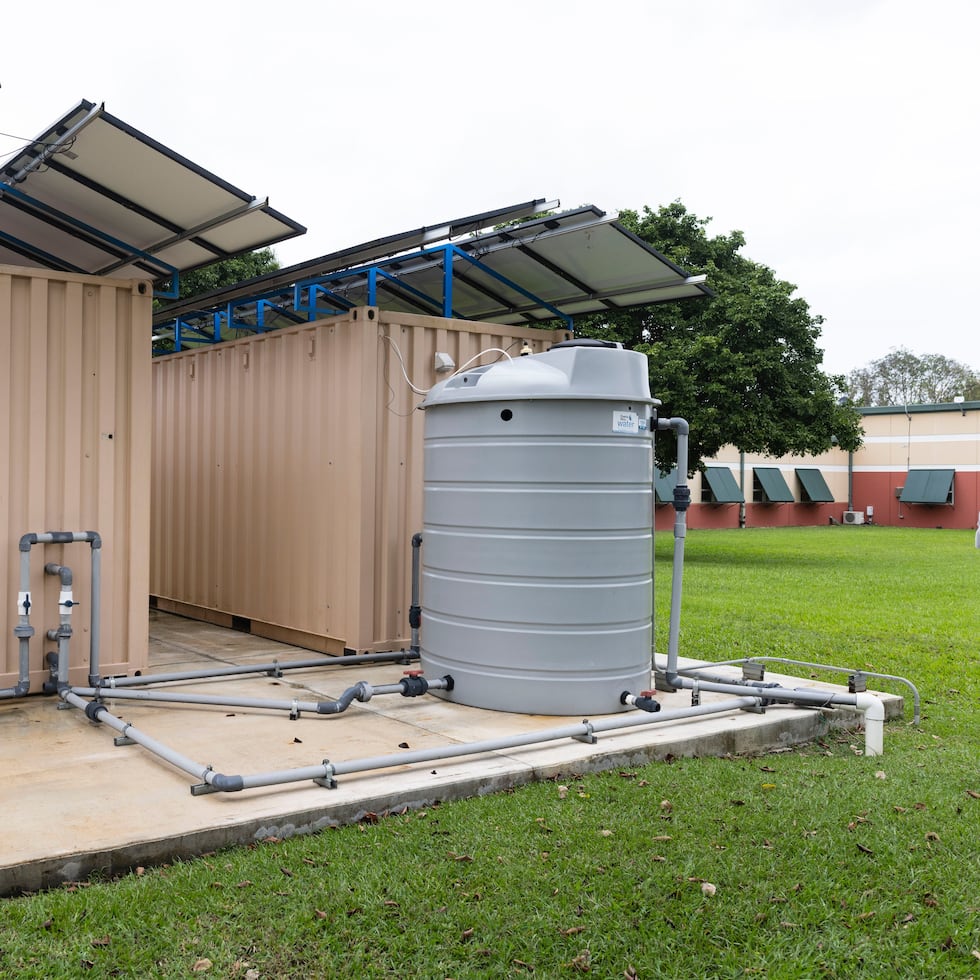The systems are self-sufficient because they operate with solar energy, so they can be installed anywhere.