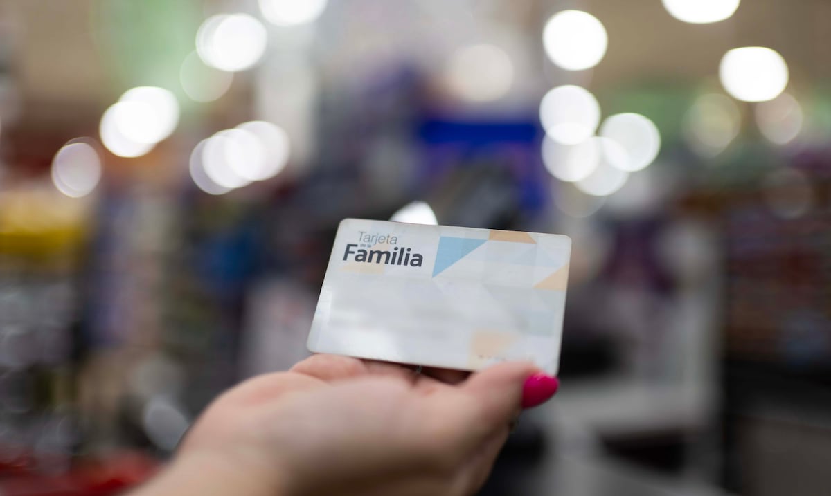 Estudio revela que casi 7 de cada 10 beneficiarios del PAN trabajan en economía informal