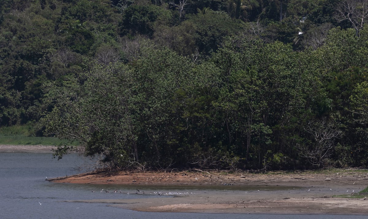 Gobernadora anuncia racionamiento de agua desde el viernes por bajos niveles en Carraízo