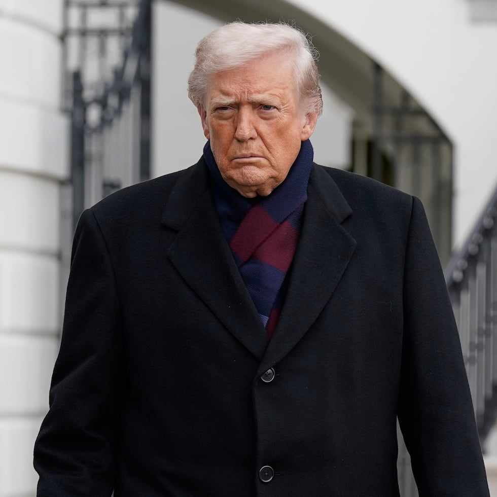 El presidente estadounidense declaró a la prensa en la Casa Blanca que Siria estaba combatiendo junto a las tropas estadounidenses.