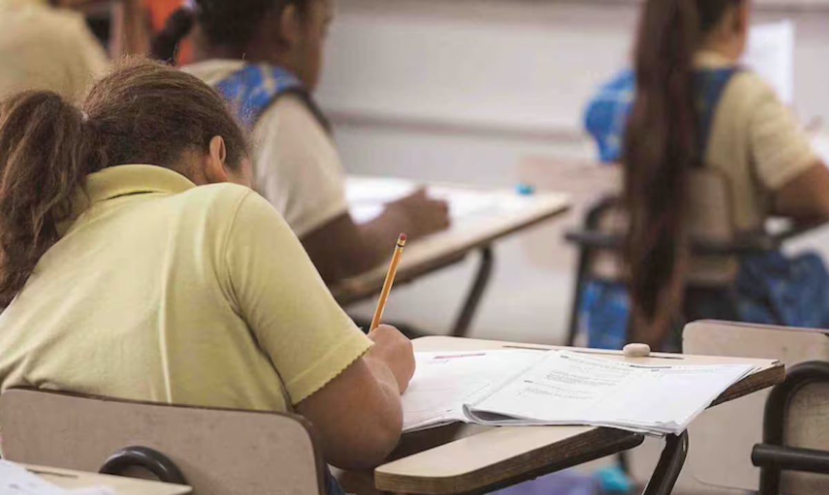 Lo que debes saber sobre las Pruebas CRECE