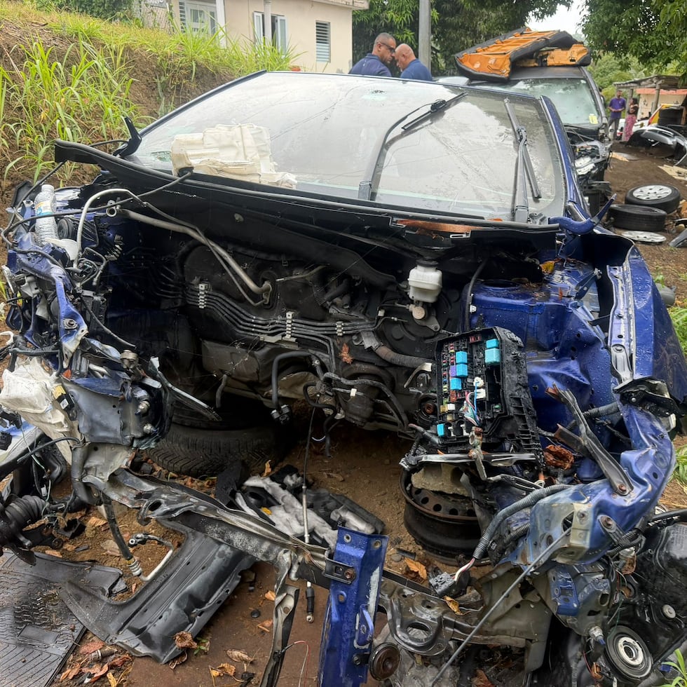 La intervención ocurrió en el barrio Cuchichea, en la carretera PR-619, en Morovis.