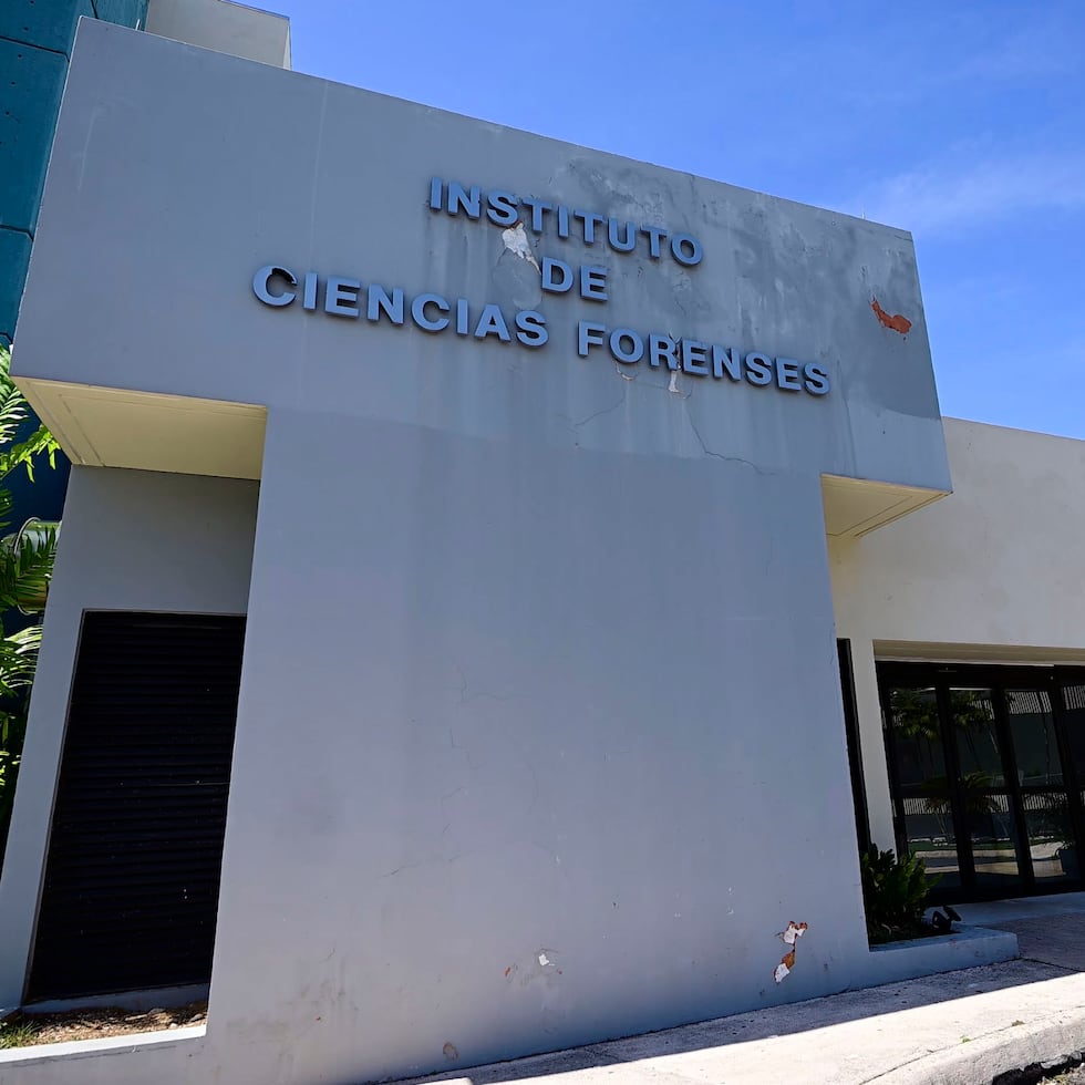 La Policía, de momento, no explicó como el ICF logró la identificación positiva de Melwin Benítez Falcón.