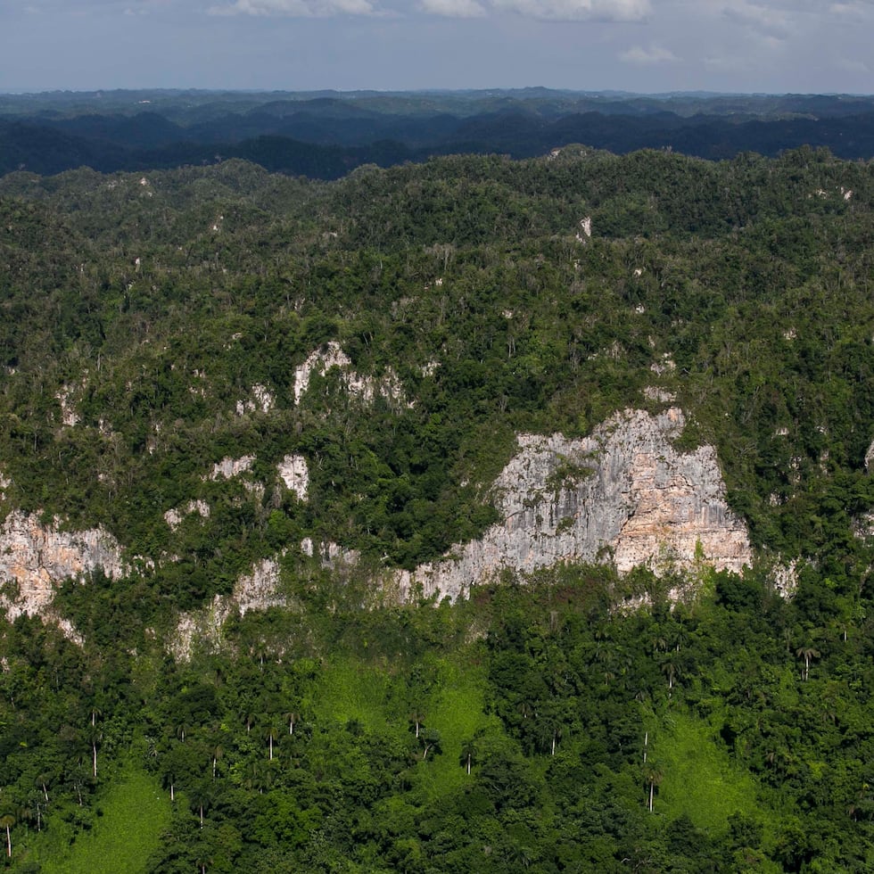 La región del karso –caracterizada por sus mogotes (foto)– cubre cerca de 244,285 hectáreas, es decir, un 27.5% de la superficie de Puerto Rico.