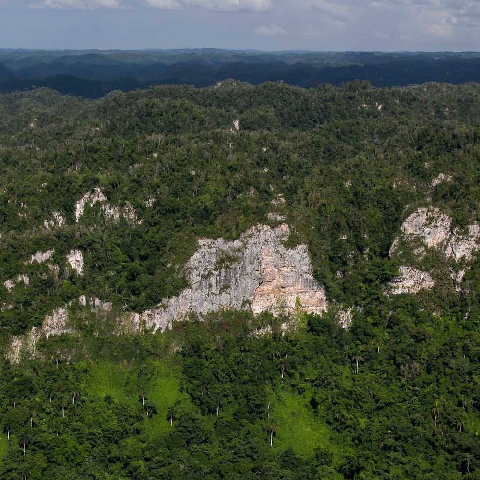 El karso, conformado principalmente por mogotes o colinas de roca caliza, es una región crucial para la conservación del agua. Según el DRNA, las regiones kársticas cubren el 20% de la superficie de la isla.
