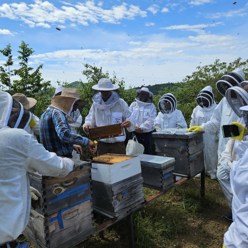 Agricultores impulsan sus fincas con exitosos proyectos de agroturismo