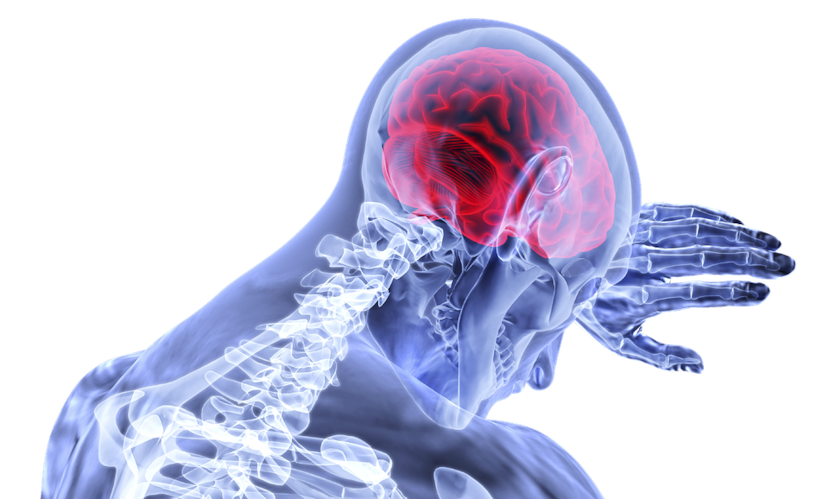 La esclerosis múltiple (EM) es una enfermedad del sistema nervioso que afecta al cerebro y la médula espinal. (Pixabay)