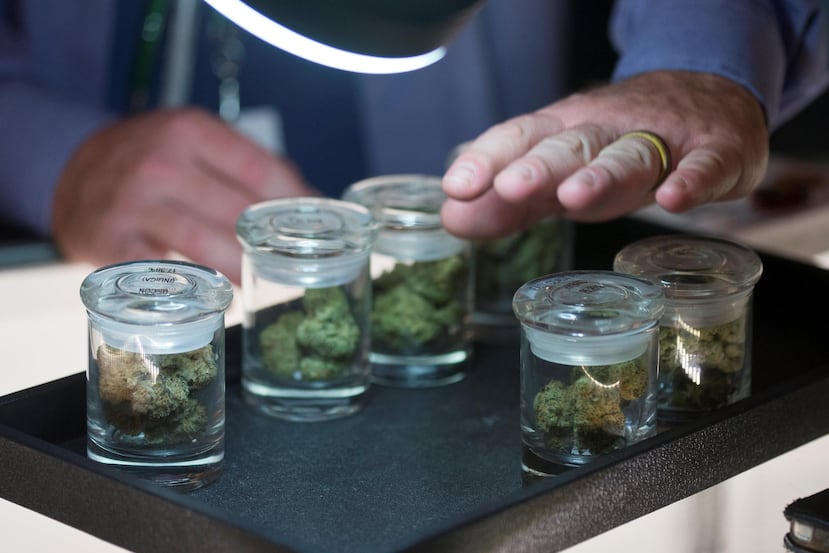 Entre los cambios propuestos a la ley que regula la industria del cannabis medicinal figura la eliminación de la telemedicina y se detendría la expedición de nuevas licencias para dispensarios. (GFR Media)