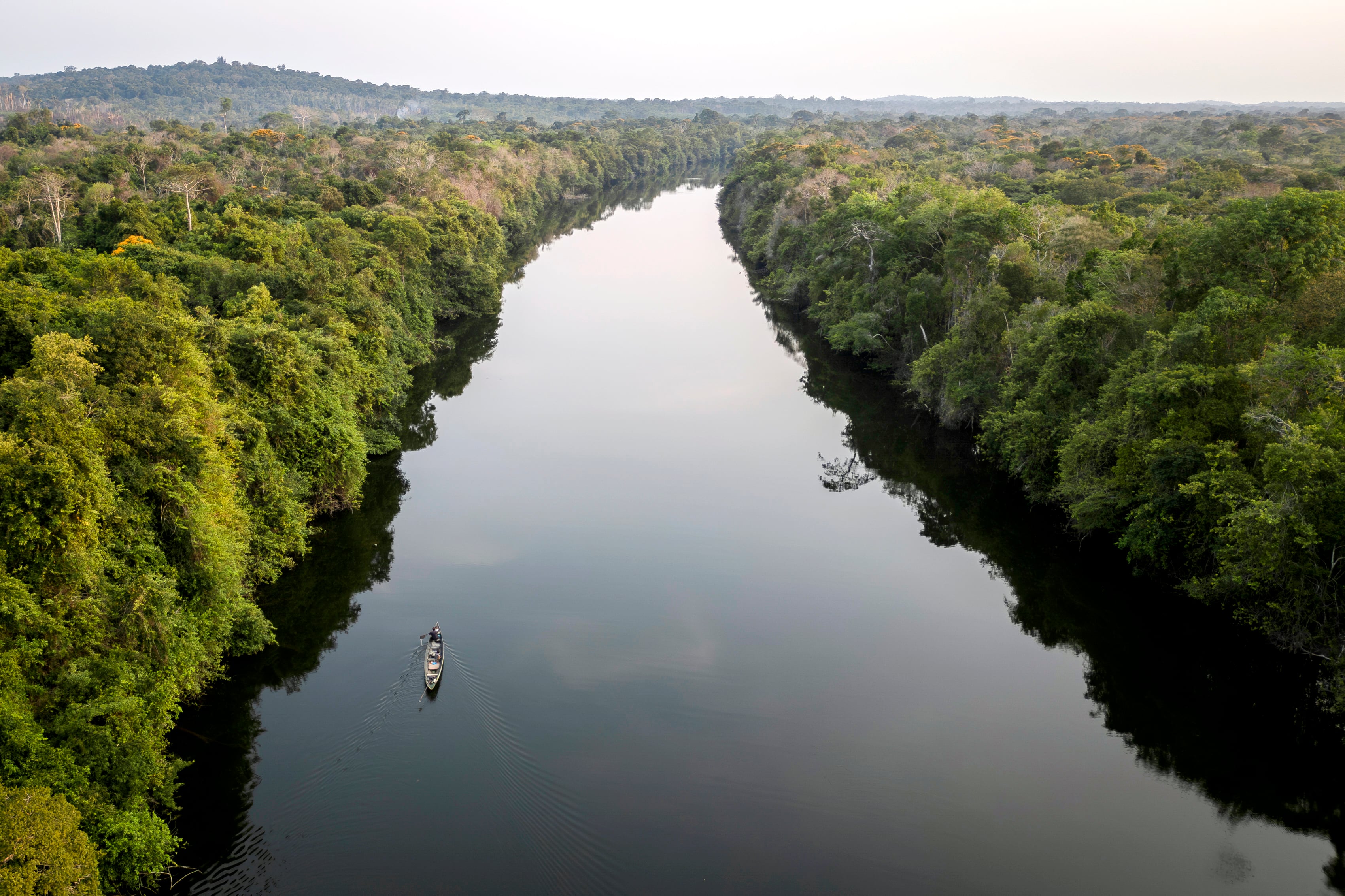 Imagen de la cobertura de: La deforestación en la Amazonía brasileña cae a su nivel más bajo desde 1988
