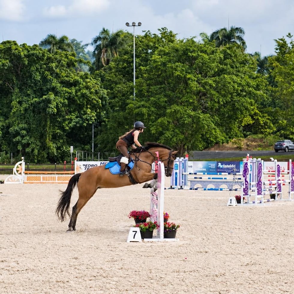 En la equitación de salto, cada binomio (dúo compuesto por un jinete y su caballo) debe superar una serie de obstáculos en el menor tiempo posible, siguiendo un orden establecido.