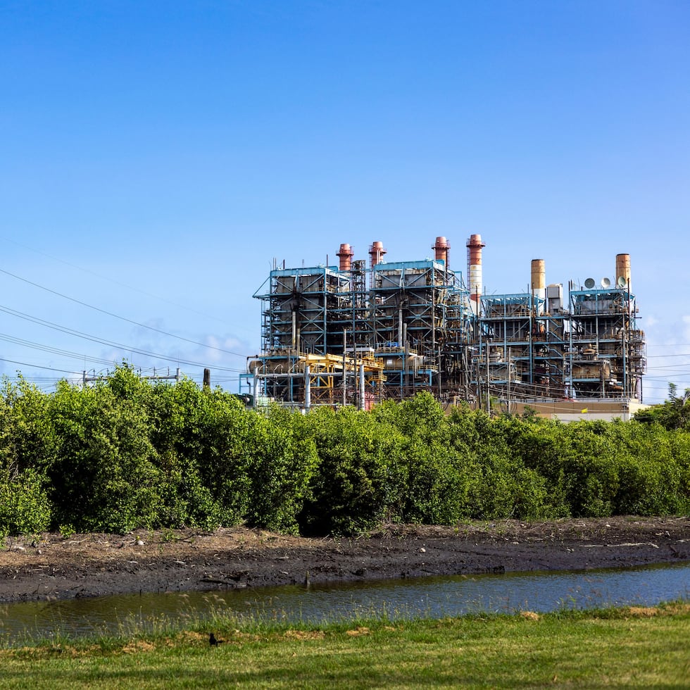 The reconstruction allocations contemplate, broadly speaking, the rehabilitation of the existing system, including fossil generation plants.