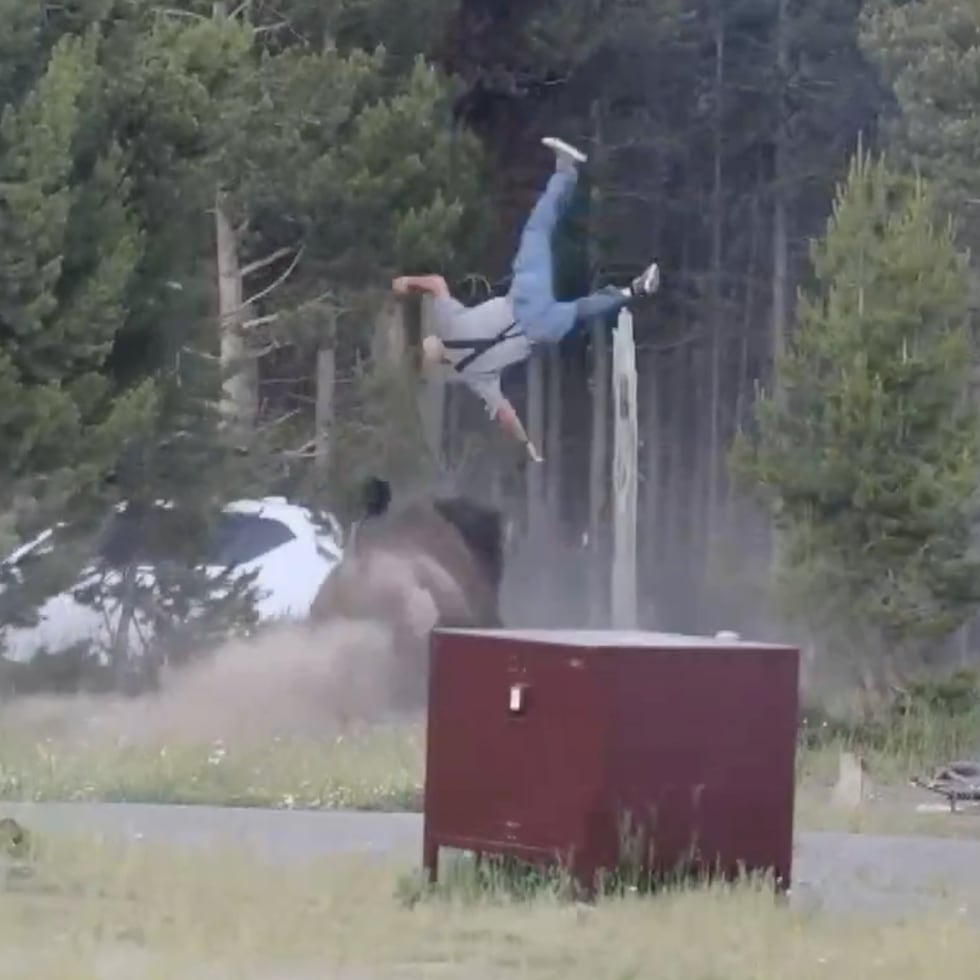 Un turista estadounidense que fue embestido y lanzado por los aires por un bisonte en el Parque Nacional de Yellowstone, en Wyoming (EE.UU.), se recupera de las heridas tras ser sometido a una cirugía.