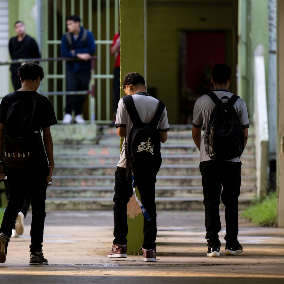 Más de la mitad de los alumnos dominaron las destrezas que se presentaron en las pruebas estandarizadas de Crecimiento, Revisión y Evaluación Continua del Estudiante (Crece) el pasado año escolar.