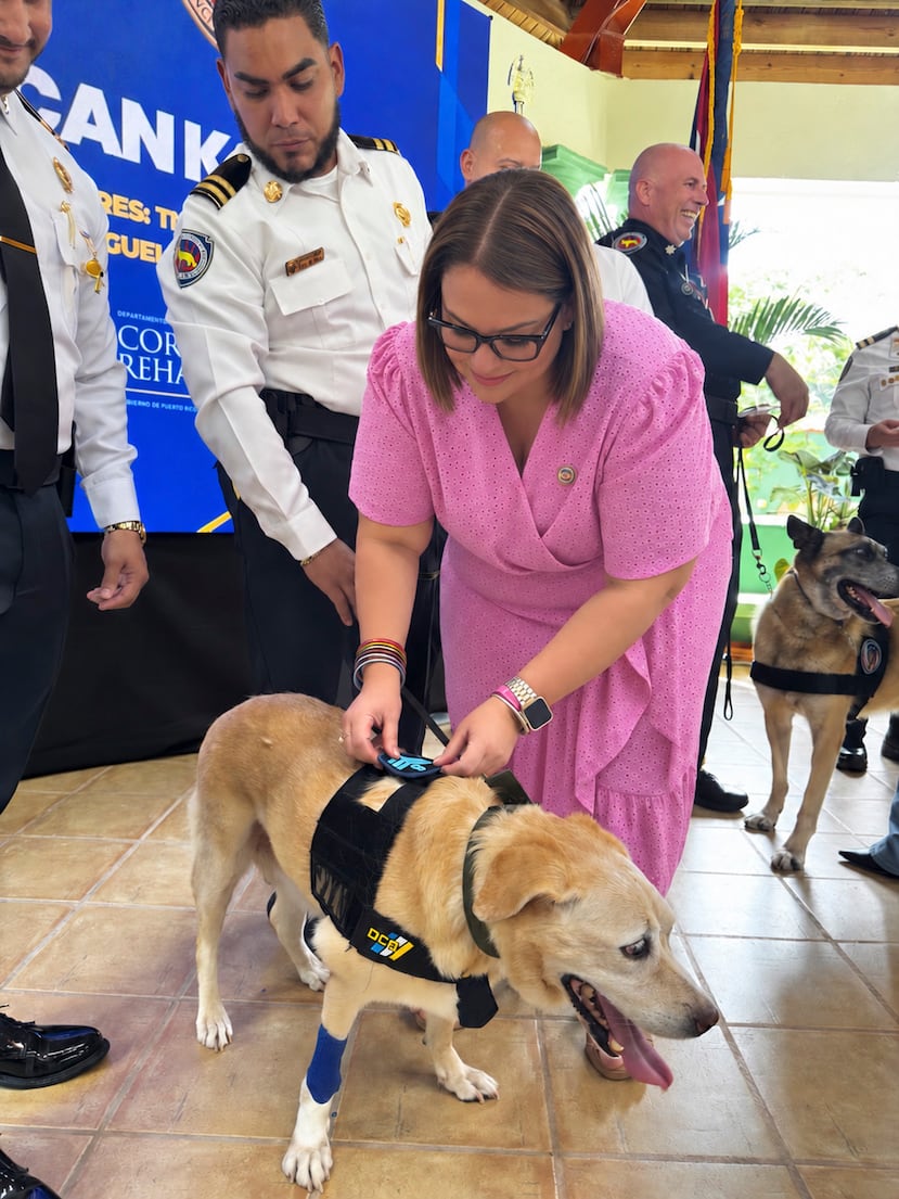 Yale, Katy y Bator culminan sus años de servicio en la Unidad Canina de Corrección con un ascenso honorífico al rango de sargento.