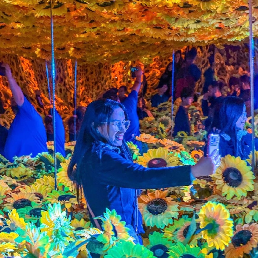 “Van Gogh en vivo: la experiencia real”.