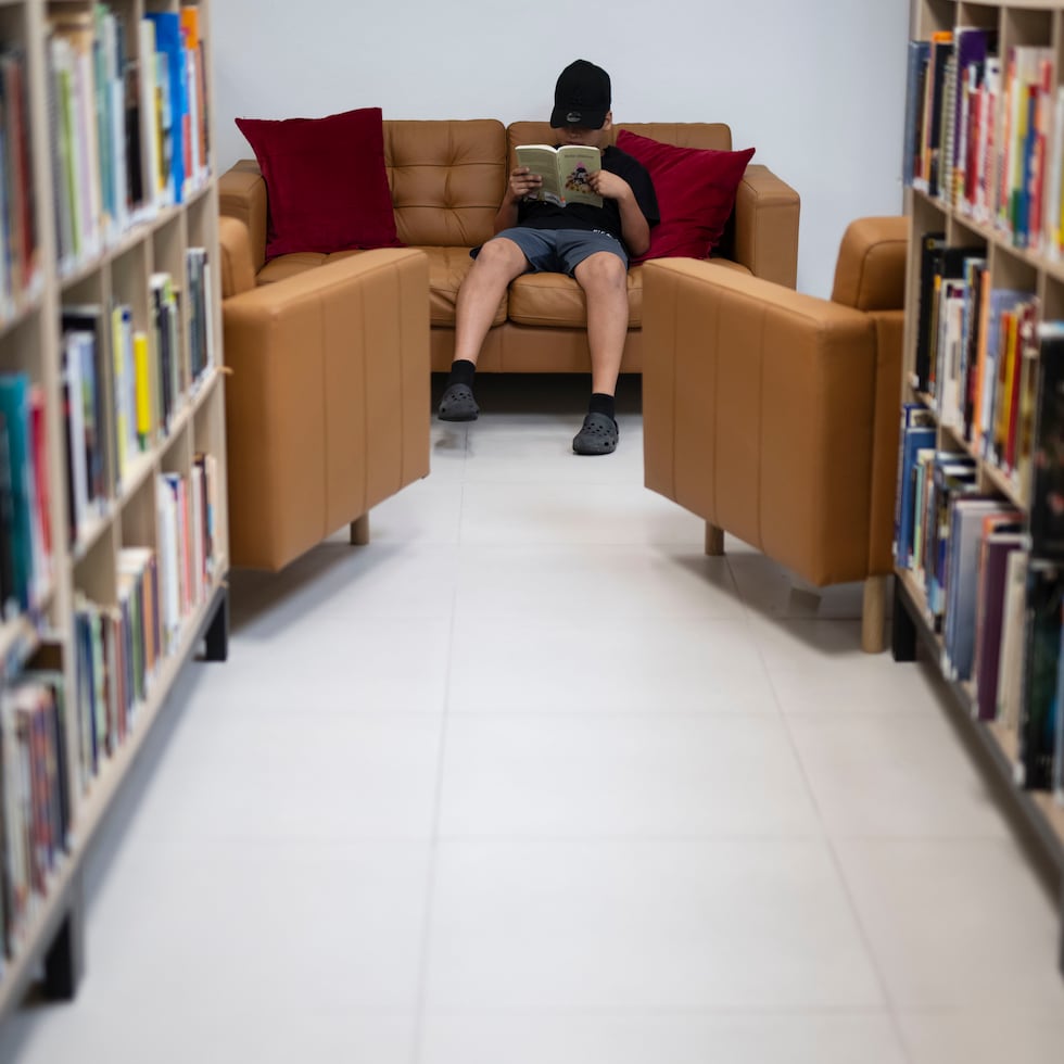 El registro representa la primera vez en que la información de las bibliotecas públicas de Puerto Rico está conglomerada en un solo lugar.