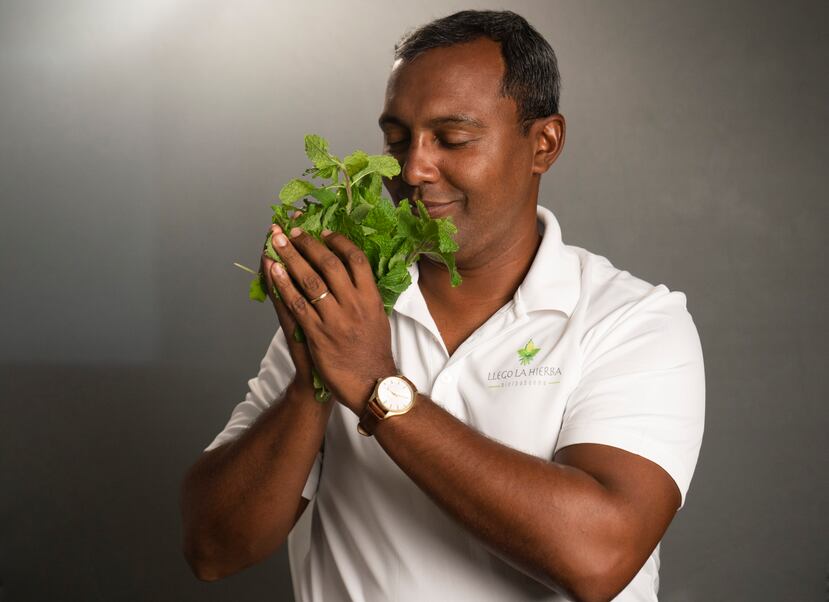 Campana Cultivando Tradición. Selectos reconoce la herencia que inspira a nuestros productores locales y las ganas que les impulsa a sembrar, criar y crear, para prosperar y adelantar la causa de un país que, consumiendo lo suyo, alcance su seguridad alimentaria. En la foto, Joel Laboy, propietario de la Finca Llegó La Hierba, productores de hierbabuena, en Mayagüez.