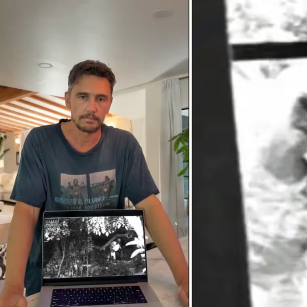 James Franco muestra vídeo captado desde sus cámaras de seguridad.