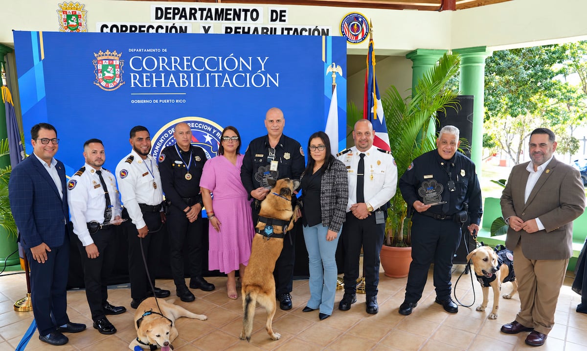 Tres perros de la Unidad Canina del DCR son ascendidos a sargentos antes de retirarse