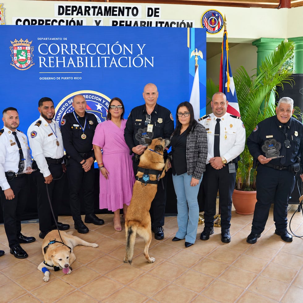 El DCR despide del servicio activo a tres canes que dejaron su huella en operativos contra el contrabando e incautaciones millonarias.