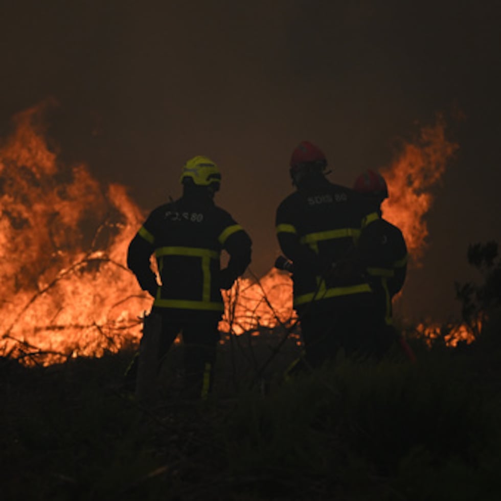Los bomberos lanzan agua sobre un incendio forestal cerca de Lacanau, en el suroeste de Francia, el sábado 25 de julio de 2026. (Foto AP/Emma Da Silva)