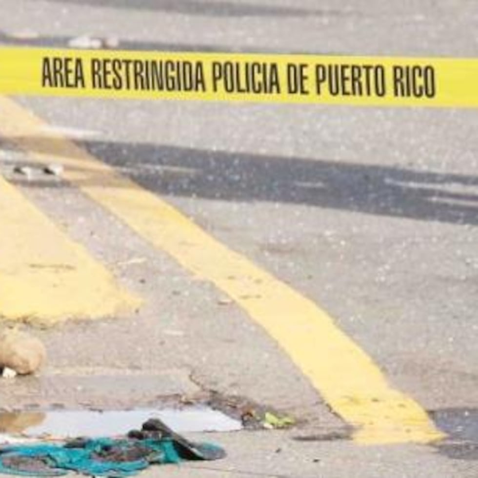 La Policía informó que una mujer y un infante perdieron la vida en un accidente de tránsito reportado en la tarde del sábado, en Morovis.