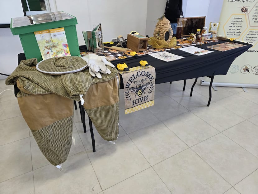 El salón que sirve de sede del proyecto “Bees in Action”, de la Escuela Segunda Unidad Rogelio Rosado Crespo, en Yabucoa, también tiene: una mesa informativa con los instrumentos que usa el apicultor y pancartas con información sobre las abejas y los polinizadores.