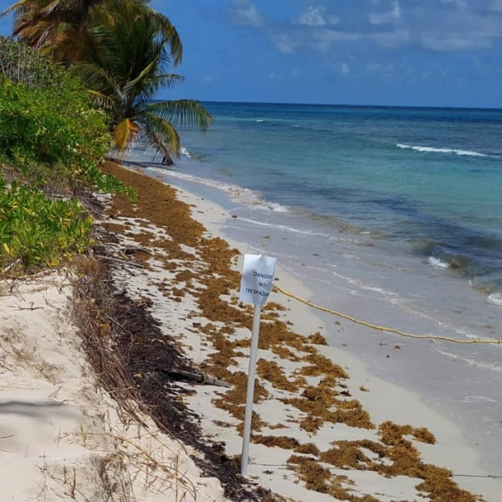 No es la primera ves que se encuentran explosivos en esa playa y otras áreas de las costas de Culebra y Vieques, donde la milicia estadounidense llevó a cabo ejercicios militares por varias décadas.