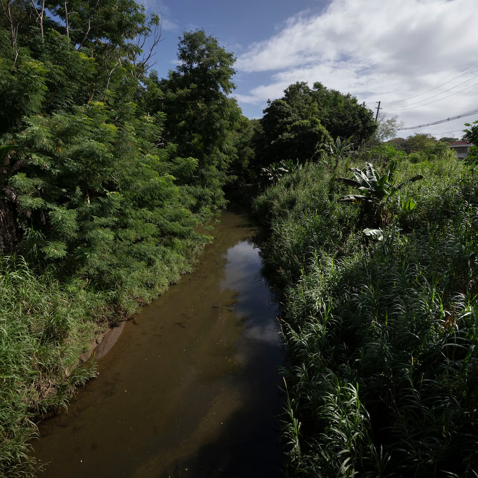 El río Piedras transcurre cercano a comunidades como Jardines Metropolitanos, University Gardens, Villa Nevárez y Reparto Metropolitano.