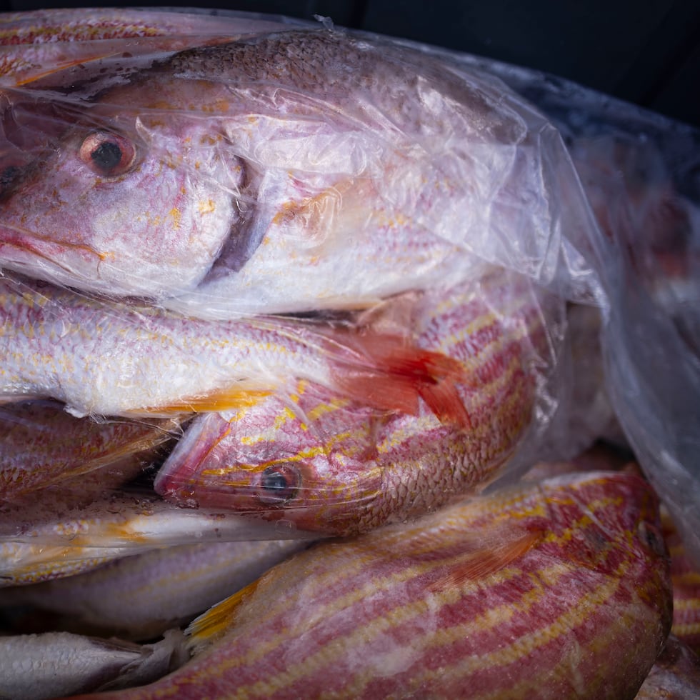 Pescado congelado en las pescaderías de Cataño, listo para ser vendido a los clientes.