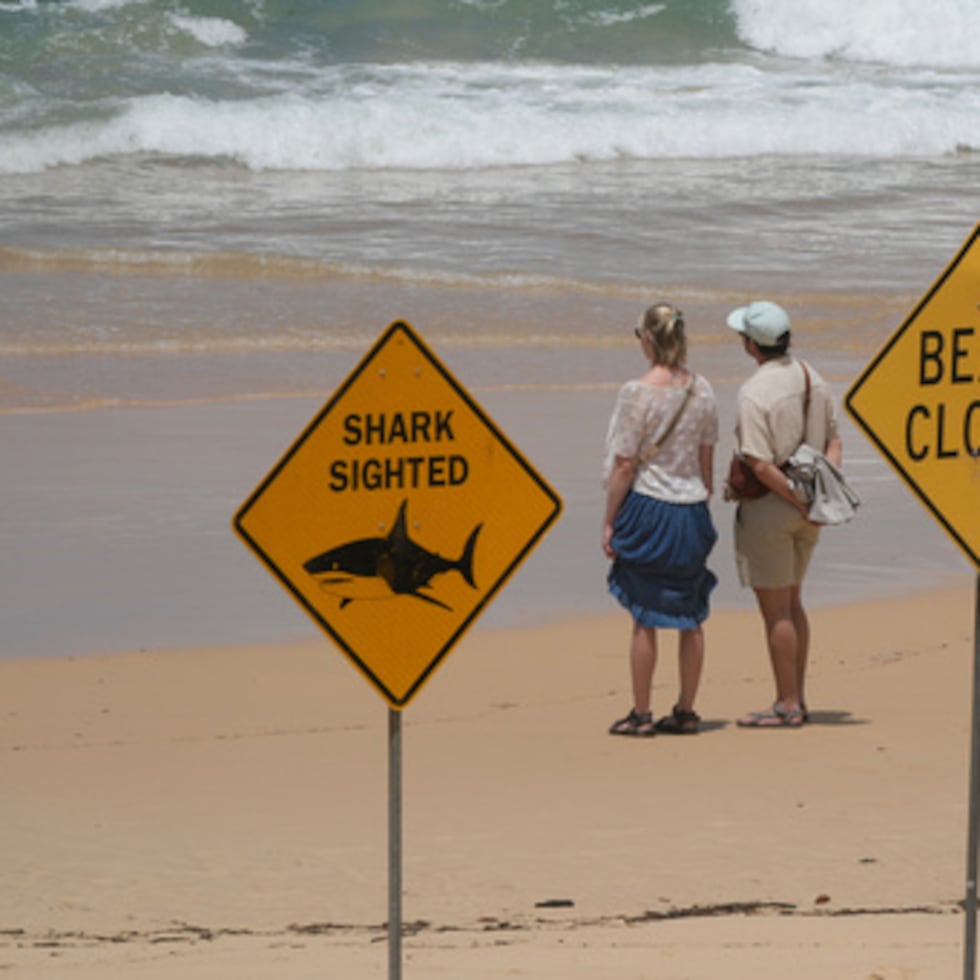 Las playas de la costa septentrional de Nueva Gales del Sur y del norte de Sídney fueron cerradas el martes.