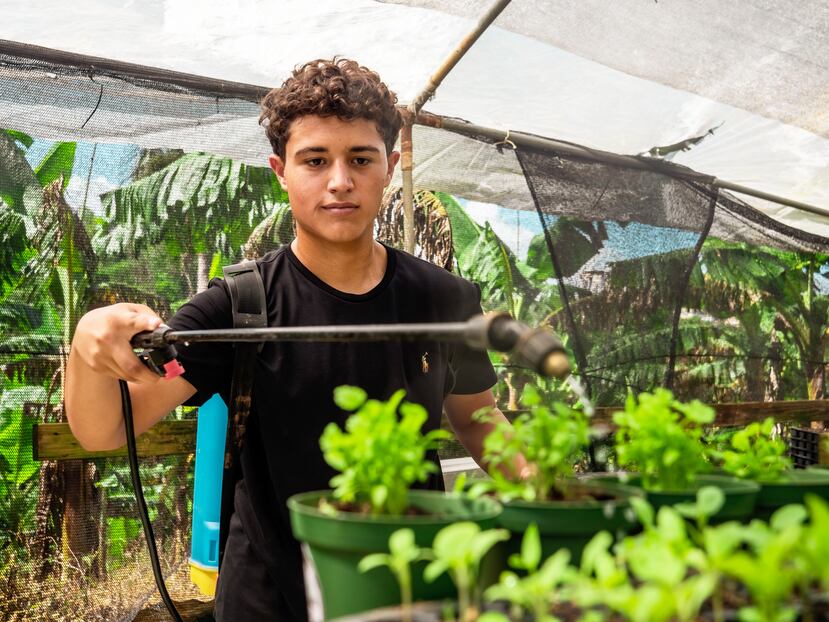 Jóvenes AgroEmpresari@s. Javier Jomar Álvarez Vélez, uno de los jóvenes agroempresarios becados por Supermercados Selectos, trabaja en el proyecto Finca Conservas de Puerto Rico desde el 2021 junto a sus padres germinando, sembrando plátanos, brindando atención al hidropónico e, inclusive, tuvo un proyecto de venta de carne de conejos, que espera volver a retomar algún día.