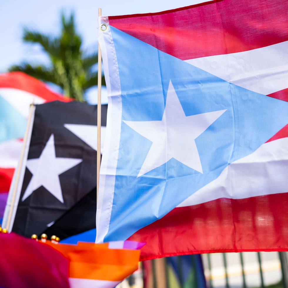 La independencia sería la única alternativa en la legislación, de acuerdo con Manuel Rivera, presidente de la organización Puertorriqueños Unidos en Acción.