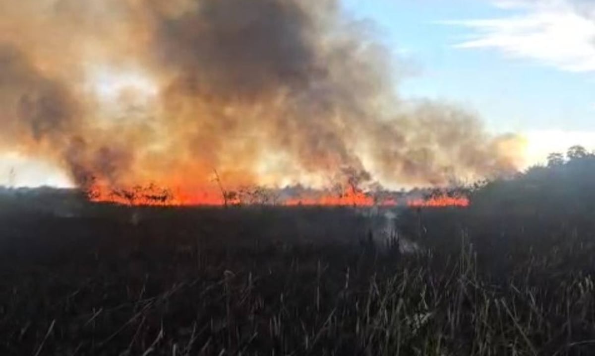Autoridades atienden un fuego forestal en Vega Baja
