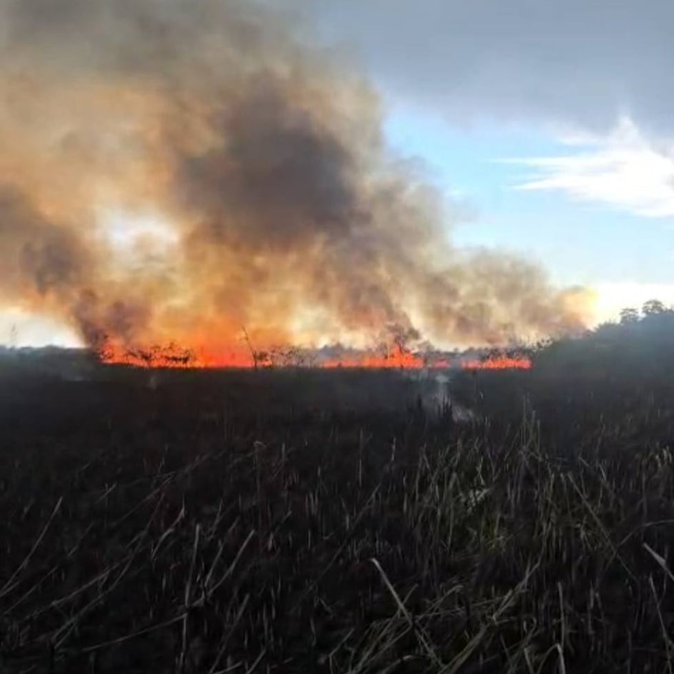 Debido a la cantidad de humo en el lugar, se le exhortó a las comunidades cercanas a ejercer precaución.