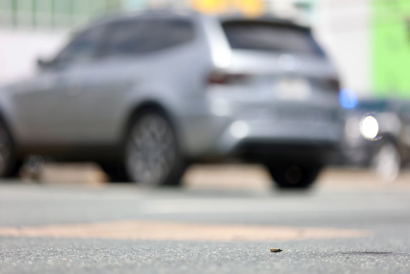 En la escena encontraron cuatro casquillos de bala de rifle AKA-47.